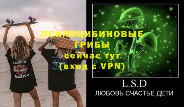 прущие грибы Алексин