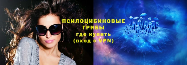 индика Алзамай