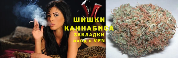 индика Алзамай