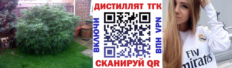 ТГК THC oil  как найти закладки  Апатиты 