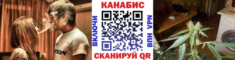 Бошки Шишки планчик  Апатиты 